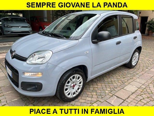 FIAT PANDA 1.2 Benzina euro6 Neopatentati