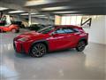 LEXUS UX 2.0 HYBRID 152CV 4WD F SPORT *ALLUVIONATA*