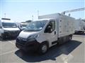 OPEL MOVANO 140CV CELLA A PIASTRE EUTETTICHE 7 SPORTELLI