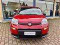 FIAT PANDA 1.0 FireFly S&S Hybrid - KM0