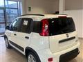 FIAT PANDA 1.0 MY23 FireFly S&S Hybrid