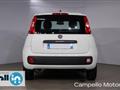 FIAT PANDA 1.2 69cv S&S Pop E6D-temp