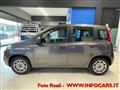 FIAT PANDA 1.2 Easy NEOPATENTATI