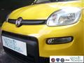 FIAT PANDA 1.0 FireFly S&S Hybrid Pandina Urban Radio Km 0