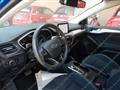 FORD Focus 1.5 EcoBlue 120CV aut.5p Co-P Business