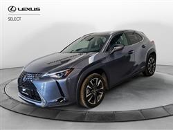 LEXUS UX Hybrid Executive