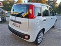 FIAT PANDA 1.2 Easy OK X NEOPATENTATI  N°FY852