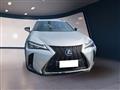 LEXUS UX 2019 250h 2.0 F-Sport 2wd cvt my20