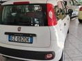 FIAT Panda Van 1.3 mjt Easy S&S 75cv 4p.ti E5+(E5) Panda 1.3 MJT S&S Lounge