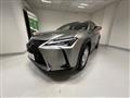 LEXUS UX Hybrid Business