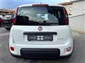 FIAT PANDA 1.0 FireFly S&S Hybrid Sport+Touch 7