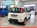 FIAT Panda 1.0 FireFly S&S Hybrid MY24 KM ZERO!!! IVATA NEOPATENTATI