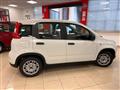 FIAT PANDA 1.0 FireFly S&S Hybrid PROMO CAR SERENITY