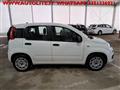 FIAT PANDA 1.2 Easy S&S ED6 TEMP