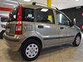 FIAT PANDA 1.2 Dynamic *OK GUIDA NEO PATENTATI*