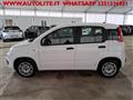 FIAT PANDA 1.2 Easy S&S ED6 TEMP