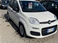 FIAT Panda 1.0 firefly hybrid City Life s&s 70cv 5p.ti