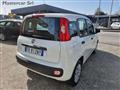 FIAT PANDA VAN Panda 1.2 POP NEOPATENTATI FR812NY