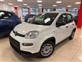 FIAT PANDA 1.0 FireFly S&S Hybrid PROMO CAR SERENITY