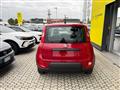 FIAT PANDA 3ª serie 1.0 FireFly S&S Hybrid