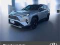 TOYOTA RAV4 2.5 HV (218CV) E-CVT 2WD Style