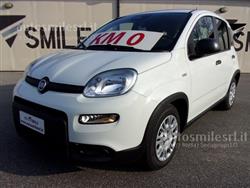 FIAT PANDA 1.0 FireFly S&S Hybrid Pandina