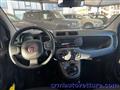 FIAT PANDA PROMO FINANZIAMENTO 1.0  Hybrid