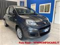 FIAT PANDA 1.2 Easy NEOPATENTATI