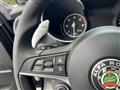 ALFA ROMEO STELVIO 2.2 190cv Q4 PinzeGialle Sedili Elettr.