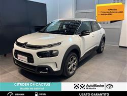 CITROEN C4 CACTUS BlueHDi 100 S&S Feel