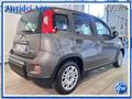 FIAT PANDA 1.0 FireFly Hybrid 70 Cv