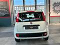 FIAT PANDA 1.3 MJT S&S Easy