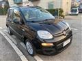 FIAT PANDA 1.2 EasyPower G.P.L. NEOPATENTATI