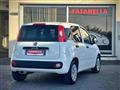 FIAT PANDA VAN 1.2 GPL Van 2 posti - IVA DEDUCIBILE - AZIENDALE