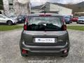 FIAT PANDA CROSS Panda Cross 1.0 FireFly S&S Hybrid