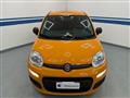 FIAT PANDA 3ª serie -  1.2 Easy