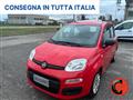 FIAT PANDA 1.0 FIREFLY HYBRID CITY LIFE X NEOPATENTATI-