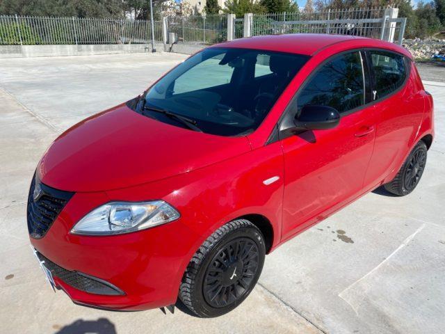 LANCIA YPSILON 1.2 69 CV 5 porte Elefantino