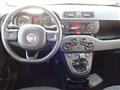 FIAT PANDA CROSS 1.2 Lounge ADATTA X NEOPATENTATI