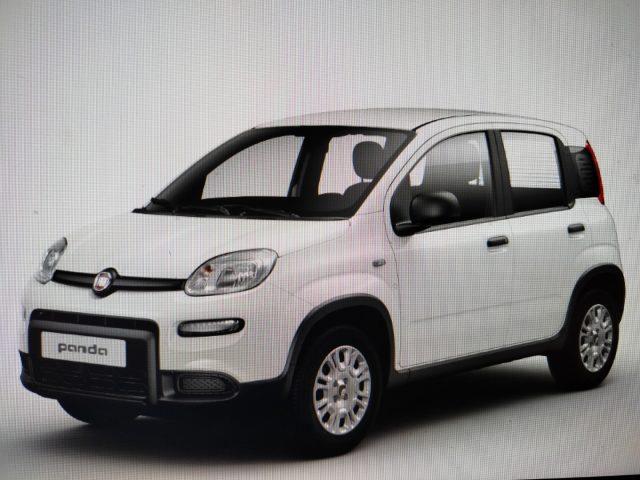 FIAT PANDA 1.0 FireFly S&S Hybrid MY24