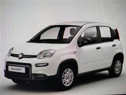 FIAT PANDA 1.0 FireFly S&S Hybrid MY24