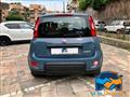 FIAT PANDA 1.0 FireFly S&S Hybrid City Life 70 cv