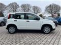 FIAT PANDA 1.0 FireFly S&S Hybrid My23 + RADIO