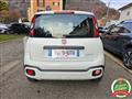 FIAT PANDA 1.0 FireFly S&S Hybrid City Cross