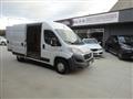 FIAT DUCATO 33 2.3 MJT 130CV PM-TM Furgone