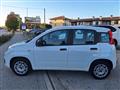 FIAT PANDA 1.2 Easy OK X NEOPATENTATI  N°FY852