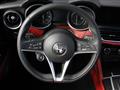 ALFA ROMEO STELVIO 2.2 Turbodiesel 210 CV AT8 Q4 Super Veloce