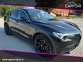 ALFA ROMEO STELVIO 2.2 Turbodiesel 190 CV Navi/Clima bi-zona