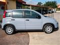 FIAT Panda 1.0 firefly hybrid City Life s&s 70cv 5p.ti