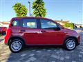 FIAT PANDA 1.0 70CV Hybrid #PRONTA CONSEGNA